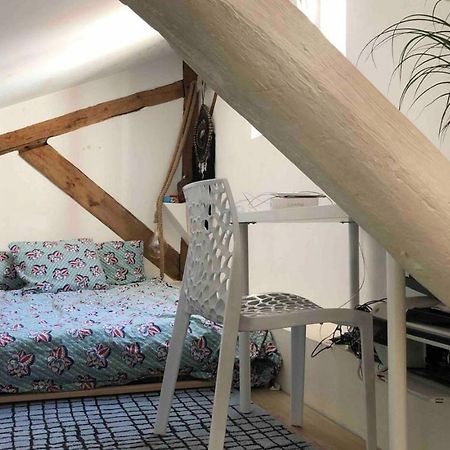 Coeur De Lyon Avec Terrasse Et Jacuzziアパートメント エクステリア 写真
